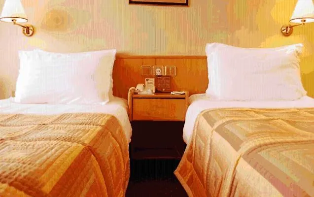 Atiskan إسكيشير